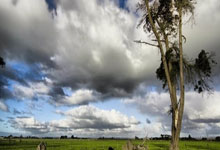 利兹联收获关键胜利，保级压力减轻