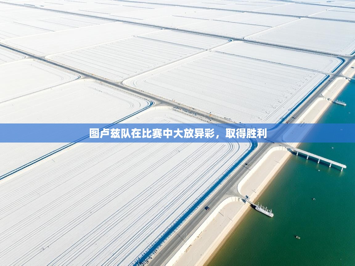 图卢兹队在比赛中大放异彩，取得胜利  第2张